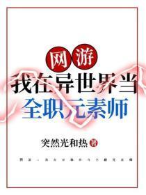 网游：我在异世界当全职元素师
