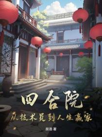 四合院：从技术员到人生赢家