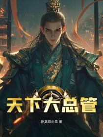 天下大总管