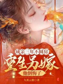 成亲三年不圆房？重生另嫁他倒悔了