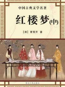 红楼梦(中)