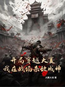 开局穿越大夏,我在战场杀敌成神