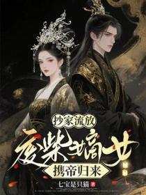 抄家流放:废柴嫡女携帝归来