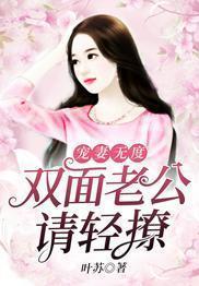 宠妻无度:双面老公请轻撩
