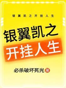 银翼凯之开挂人生