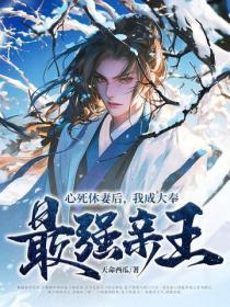 心死休妻后,我成大奉最强亲王