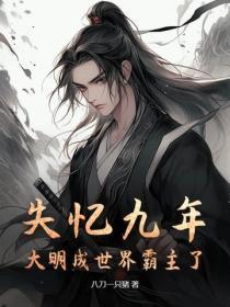 失忆九年,大明成世界霸主了?
