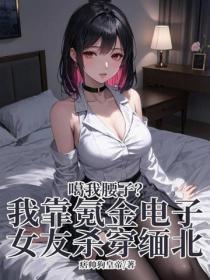 噶我腰子?我靠氪金电子女友杀穿缅北