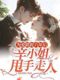为爱蹉跎六年后,辛小姐甩手走人