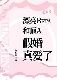 漂亮beta和顶A假婚真爱了