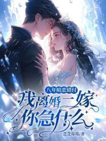 八年暗恋错付,我离婚二嫁你急什么?