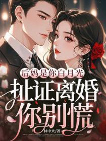后妈是你白月光,扯证离婚你别慌
