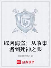 综网海盗:从收集者到死神之眼