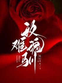 玫瑰难驯