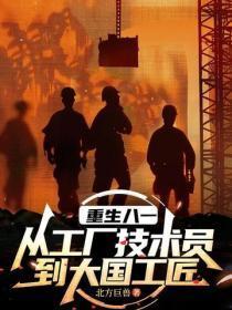 重生八一：从工厂技术员到大国工匠